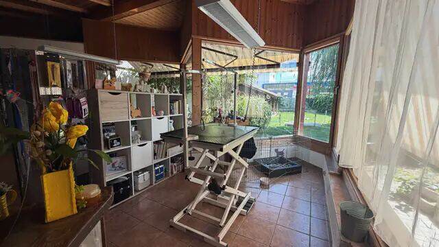 La véranda du salon, table de toilettage devant les baies vitrées donnant sur la pelouse.